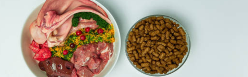 Diseño sin título (3)